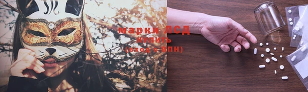 ешки Аркадак