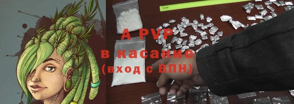 ешки Аркадак