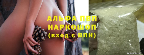ешки Аркадак