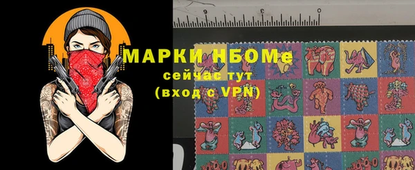 ешки Аркадак
