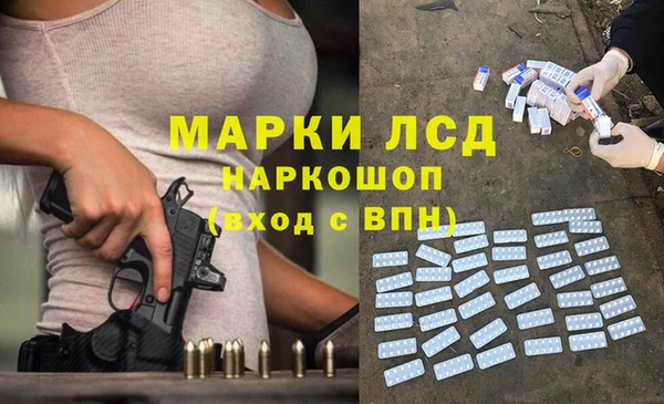 apvp Каменка