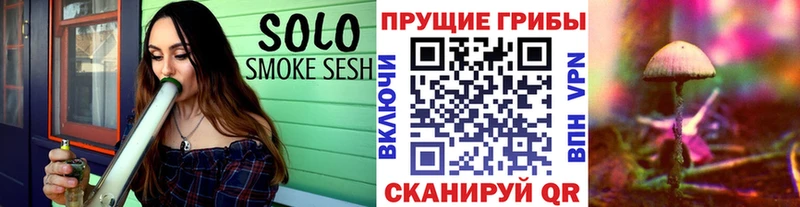 Галлюциногенные грибы GOLDEN TEACHER  Чудово 